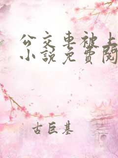 公交车被上高潮小说免费阅读