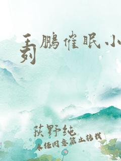 王鹏催眠小说系列