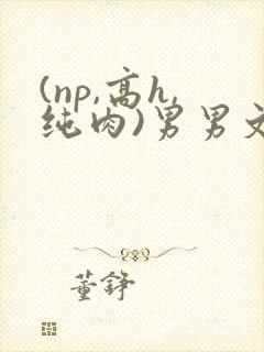 (np,高h,纯肉)男男文