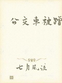 公交车被蹭