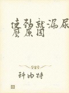 使劲就漏尿是什么原因