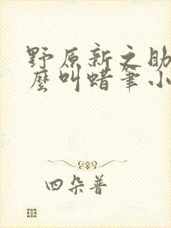 野原新之助为什么叫蜡笔小新