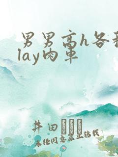 男男高h各种play肉车
