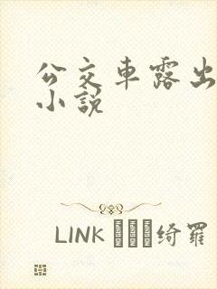 公交车露出调教小说
