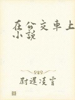 在公交车上被插小说