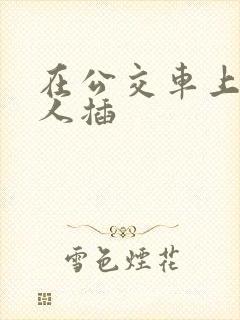 在公交车上被别人插
