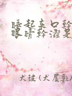 睡起来口干口苦眼睛干涩是什么原因引起的