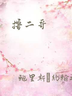 撸二哥
