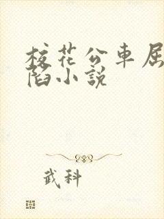 校花公车屈辱沦陷小说