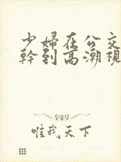 少妇在公交车强干到高潮视频在线观看免费