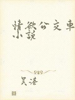 情欲公交车系列小说