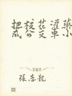 把校花灌药调教成公交车小说