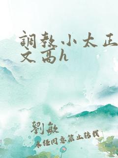 调教小太正肉车文高h