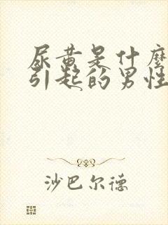 尿黄是什么原因引起的男性