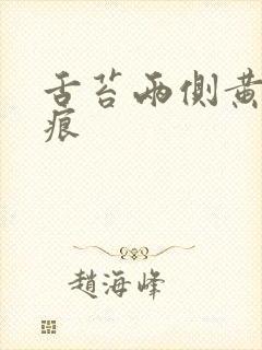 舌苔两侧黄有齿痕