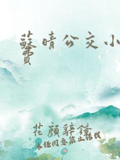 苏晴公交小说免费