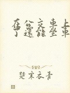 在公交车上高潮了还能坐车吗