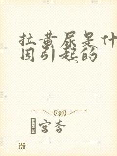 拉黄尿是什么原因引起的
