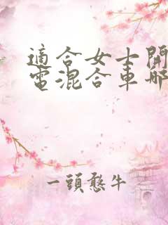 适合女士开的油电混合车哪款