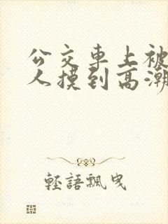 公交车上被陌生人摸到高潮视频