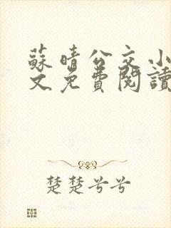 苏晴公交小说全文免费阅读