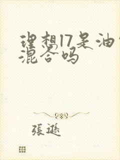 理想l7是油电混合吗