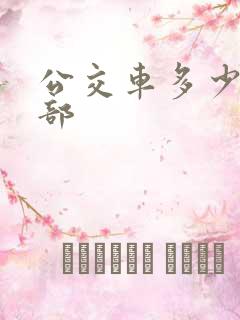 公交车多少钱一部