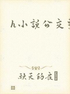 h小说公交系列