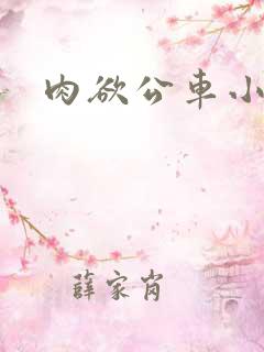 肉欲公车小说