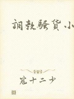 调教骚货小说h