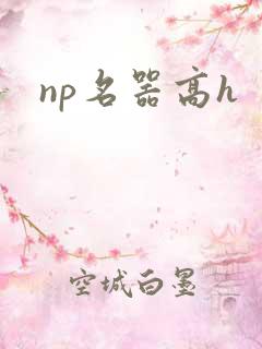 np名器高h