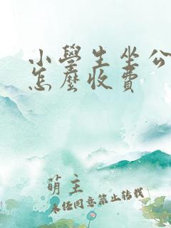 小学生坐公交车怎么收费
