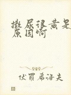 撒尿很黄是什么原因啊