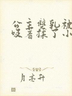 公主双乳被俩人吸着揉了小说