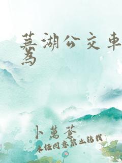 芜湖公交车到无为