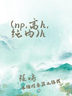 (np,高h,纯肉)h