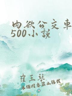 肉欲公交车系列500小说