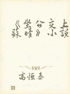 《坐公交上班的苏晴》小说免费阅读