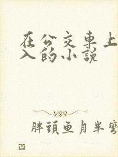 在公交车上被后入的小说