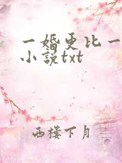 一婚更比一婚高小说txt