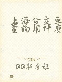 上海公交车实时查询用什么软件