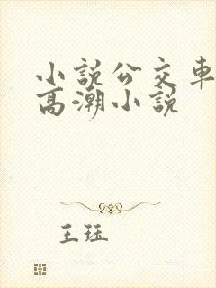 小说公交车被上高潮小说