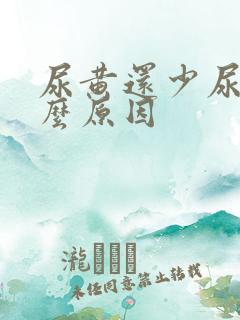 尿黄还少尿是什么原因