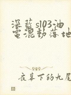 深蓝sl03油电混动落地价