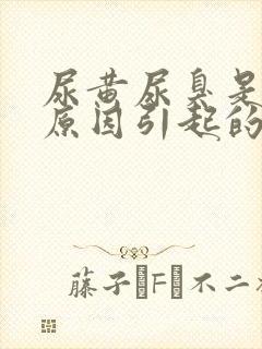 尿黄尿臭是什么原因引起的