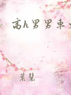 高h男男车文