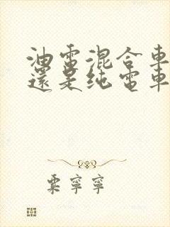 油电混合车好,还是纯电车好