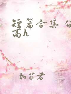 短篇合集 公车高h
