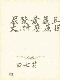 尿发黄并且味很大,什么原因?