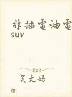 非插电油电混动suv